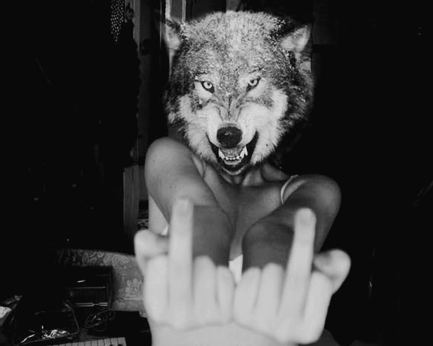 fuck_you_said_the_wolf.jpg